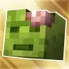 Server logo zBoxed