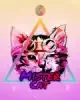 Logo du serveur MISTERCAT