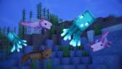 Bannière du serveur AquaCraft