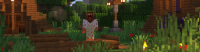 Bannière du serveur CrackTown