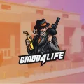 Logo du serveur 